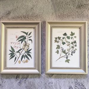 3x Framed Floral Prints